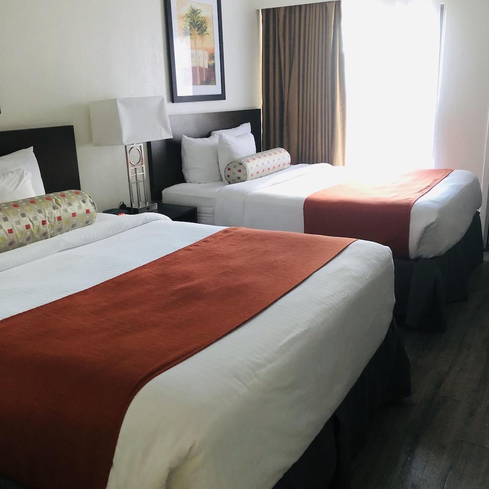 Baymont By Wyndham Tampa Near Busch Gardens Hotell Eksteriør bilde