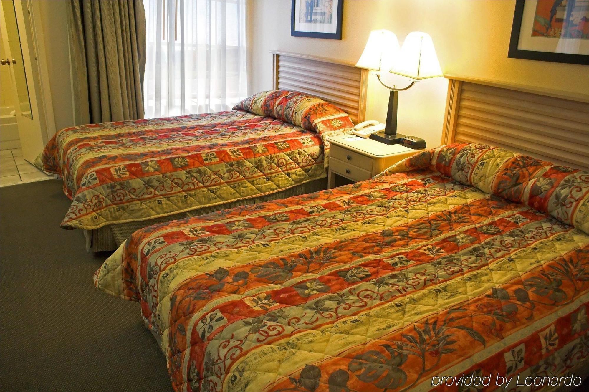 Baymont By Wyndham Tampa Near Busch Gardens Hotell Rom bilde