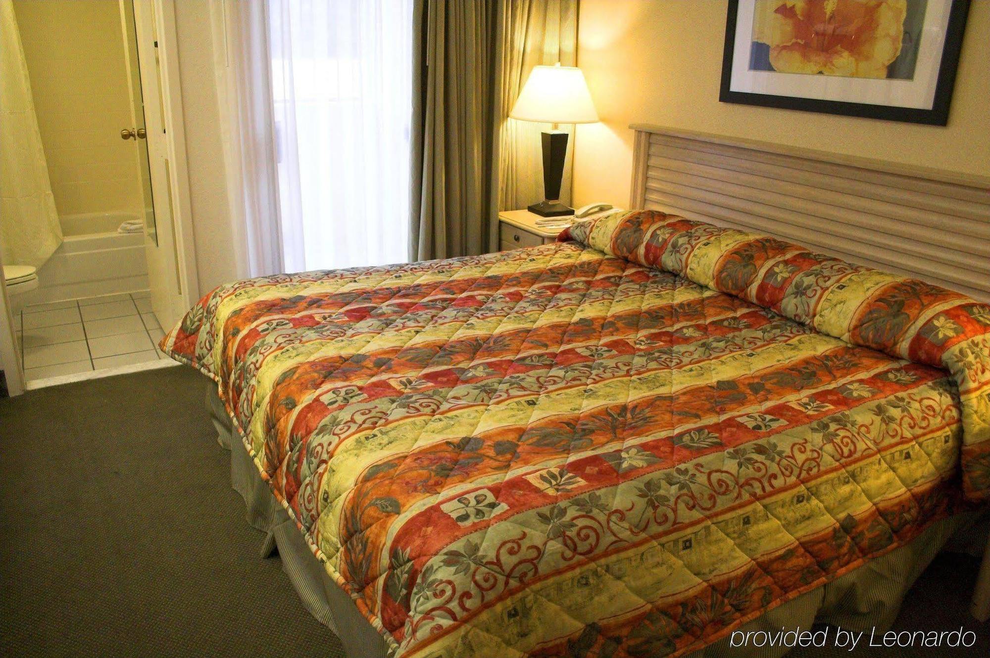 Baymont By Wyndham Tampa Near Busch Gardens Hotell Rom bilde