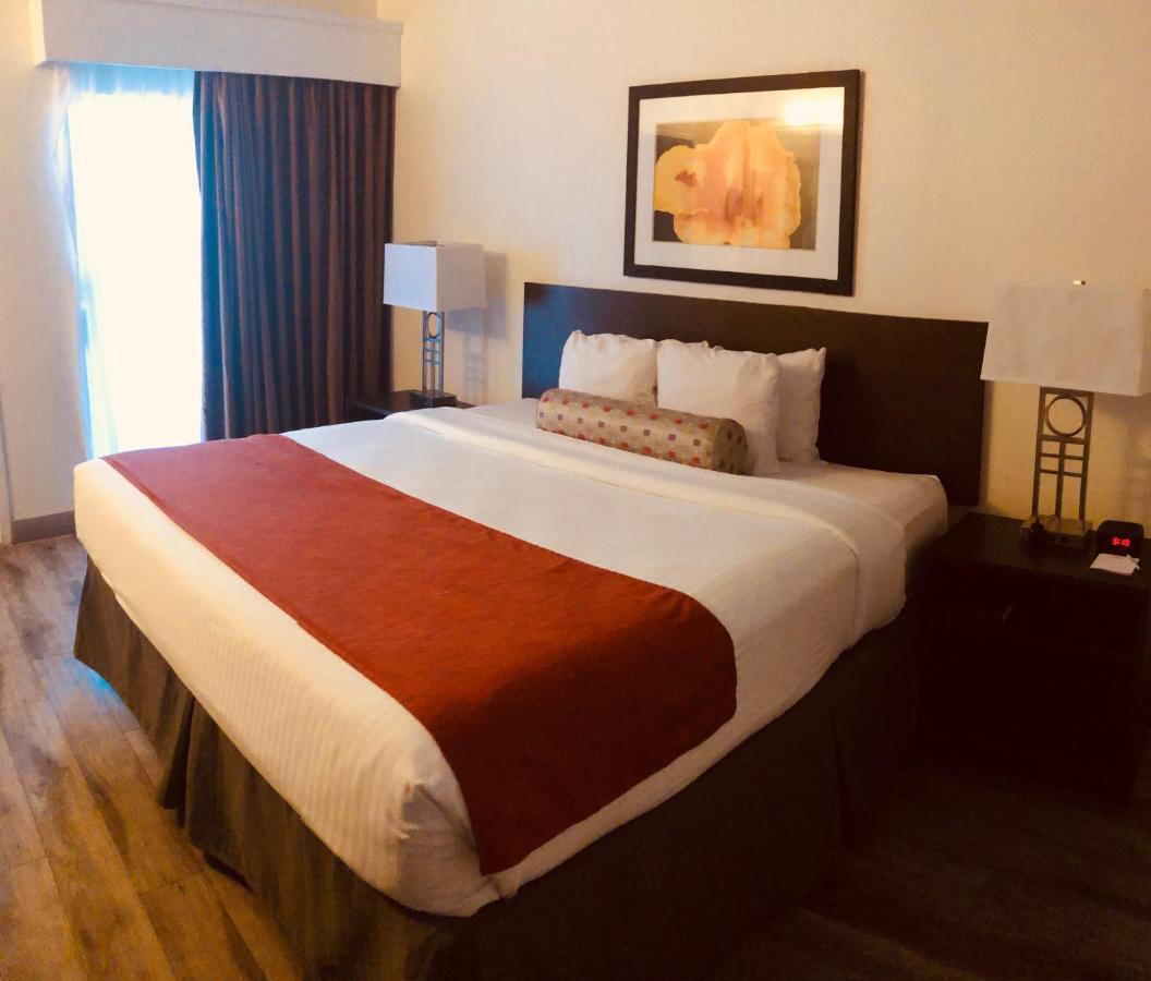 Baymont By Wyndham Tampa Near Busch Gardens Hotell Eksteriør bilde